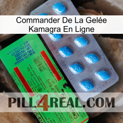 Commander De La Gelée Kamagra En Ligne new03